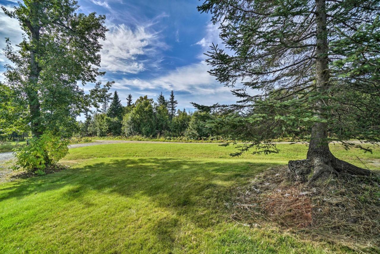 Homer Hideaway On Fritz Creekside - Pets Welcome Dış mekan fotoğraf